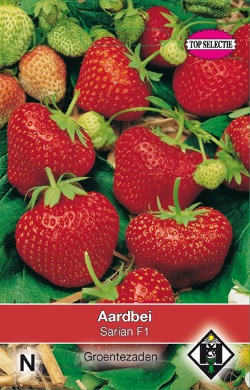 Strawberry Delician F1 (Fragaria) 25 seeds HE